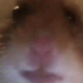 kitixx