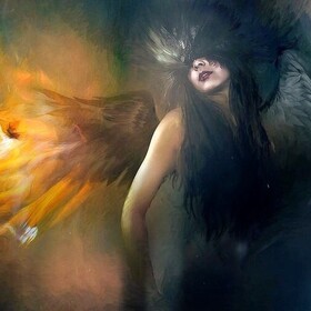 Blackswan_bl