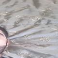 Ggggrkn