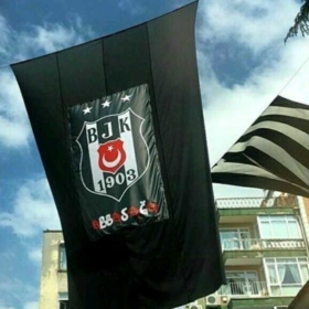 melis19033