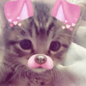 ipekkylllk