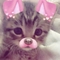 ipekkylllk
