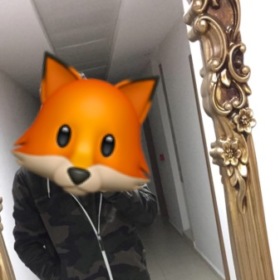 AloneWolf11