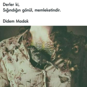 içimizdekisesler