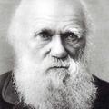 DarwininSakalı