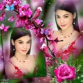 nalanca