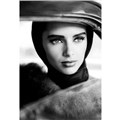 Arwen333