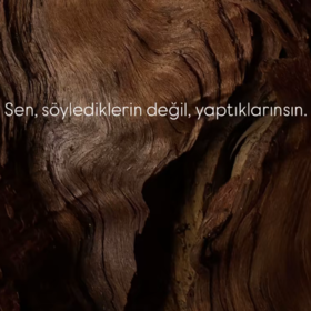 fatih__33