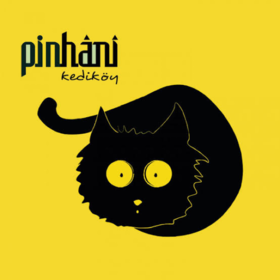 pinhanii88