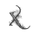 MynheerX