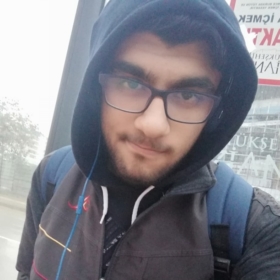 zylsfa
