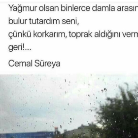tercsdf