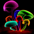 TheRux