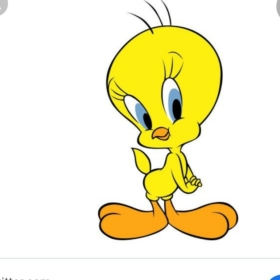 tweetiiiiii