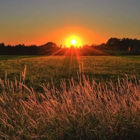 MorningDawning