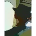 intym3
