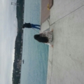 nisanur_temel