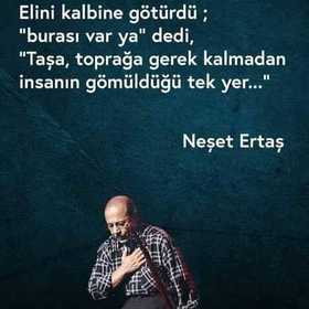 Nertaş4040