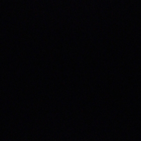 akçakzgn