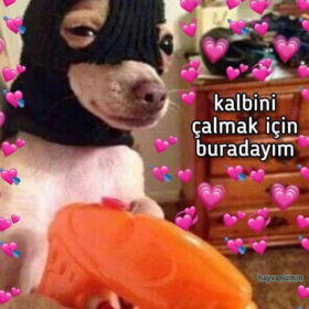 seda1997_