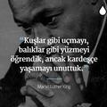 0Fuzuli