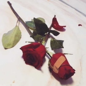 Elif_Vural