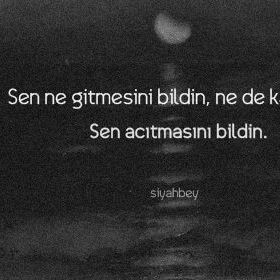 cerenyldzzz