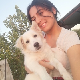 Nilgun000