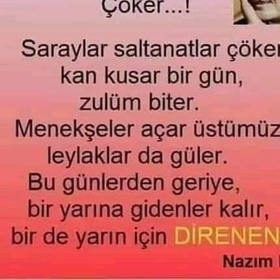 seda_izm35
