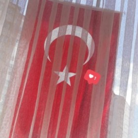 sevilesi_
