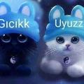 üye8754120