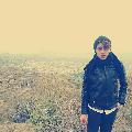 000TİLKİ000