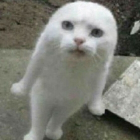 Melikaba