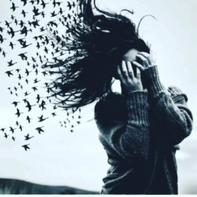 Dilan___
