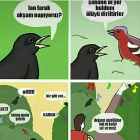 Meraklıbiri11