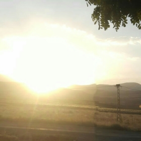 arenimo