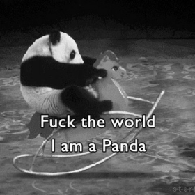 Pandalardacokyalniz