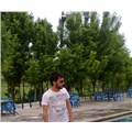mecelle07