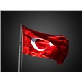 12anıl12