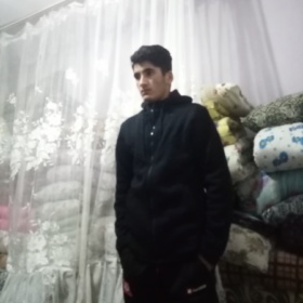 Mehmet348843