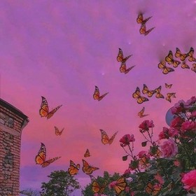 _Irmak_411