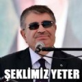 Garavel
