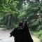hiraizerdüş_