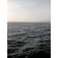 askboktur15