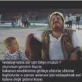 RoccoErkeği