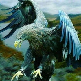 şebınlı2882