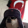 HzMetehan