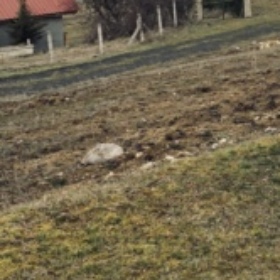 asi78