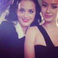 Katycatt