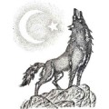 aşktrafosu